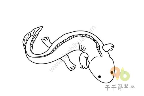 动物简笔画 如何画鲵简笔画 鲵,是一种两栖动物,外表长得和蜥蜴很像