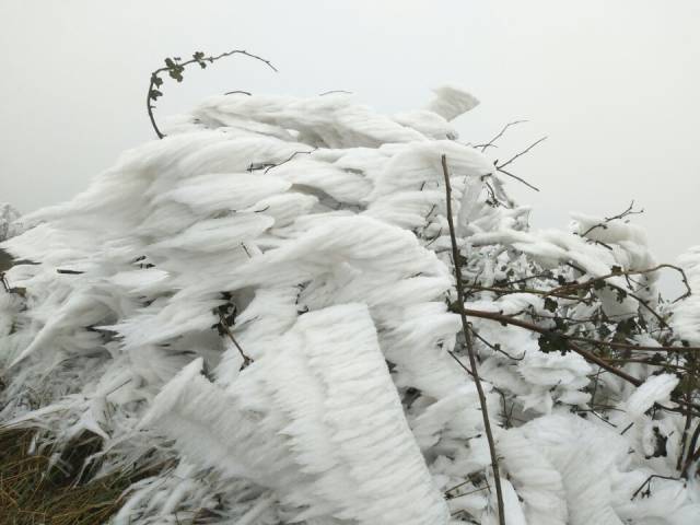 齐岳山这样的雪景漫山遍野的冰花美不胜收