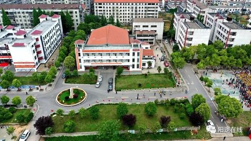 喜报阳逻一中2019年中考大捷