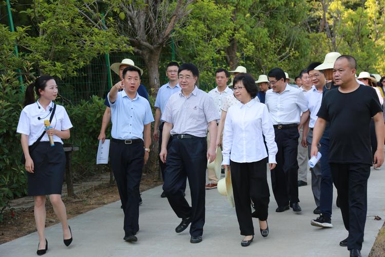 省殡葬改革暨移风易俗工作推进会在桐城召开