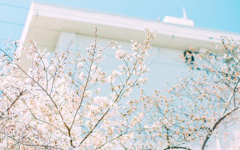 日系文艺小清新街道风景高清桌面壁纸