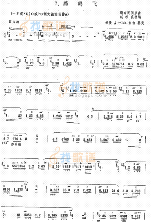 鹧鸪飞(笛子独奏)