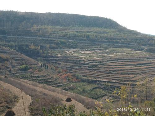 其它 虞河黄叶 安丘天路 写美篇辉渠小麦峪村西盘山路