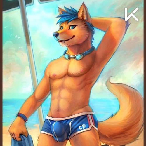 腹肌撕裂者 (第1页)