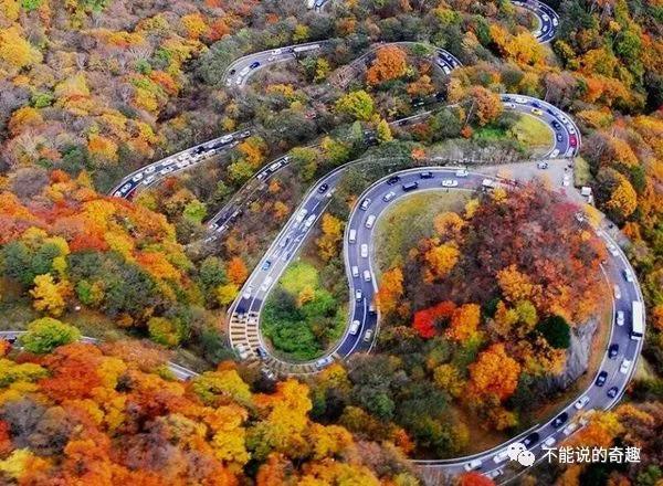 日本《头文字d公交车版》,这条被称"发夹弯"的车道引网友热议