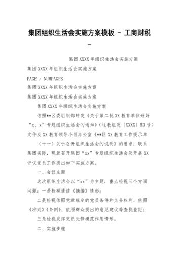集团组织生活会实施方案模板工商财税