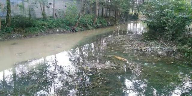 国庆放假回家发现家门口的臭水沟变了样