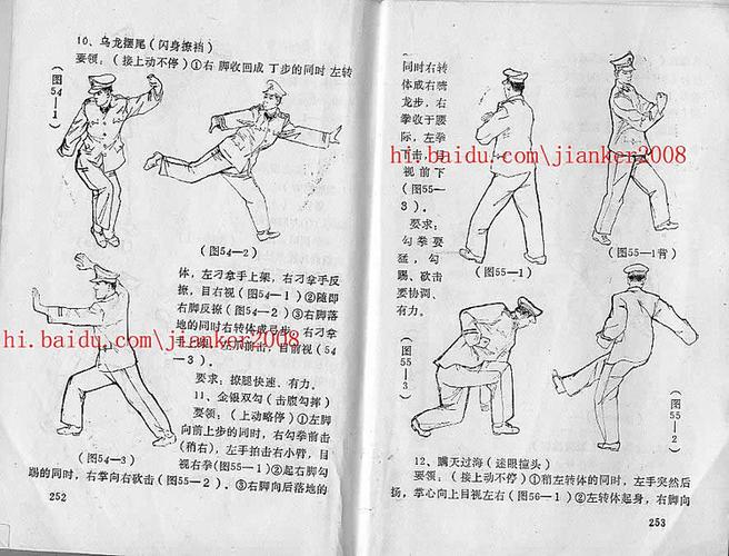 【引用】黑龙十八手(图解)