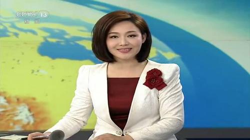 国内最好的新闻女主持人,郑丽,美丽大方而不妖艳,气质高雅而骄艳