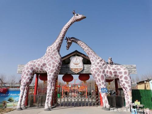 最适合亲子互动游,曲阜长鹿野生动物园,可零距离接触