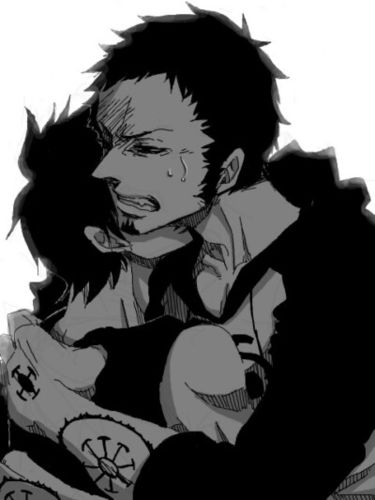 海贼王,罗,路飞……情不知所起,一往情深(罗路)