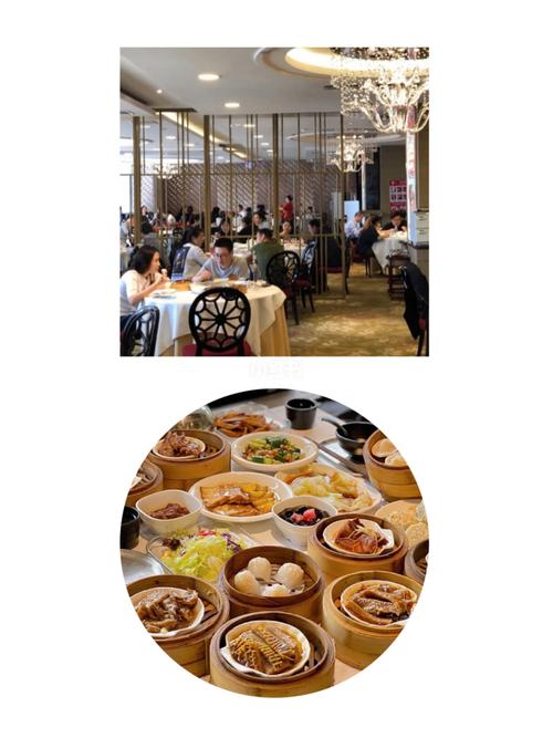 早茶_虾饺_探店_榴莲酥_鲜虾_豆沙_春卷_海鲜_万龙洲海鲜大酒楼
