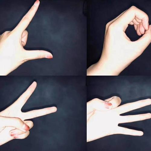 这张图上的手势是什么意思