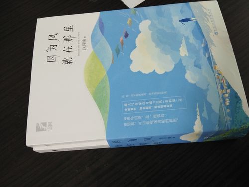 小剧场】正版包邮 因为风就在那裏 玖月晞著 青春文学 "追风"系列第