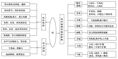 【模板】思维导图
