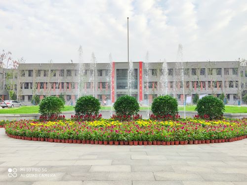 均衡分班,阳光入学——太原市南海中学东山校区2020年