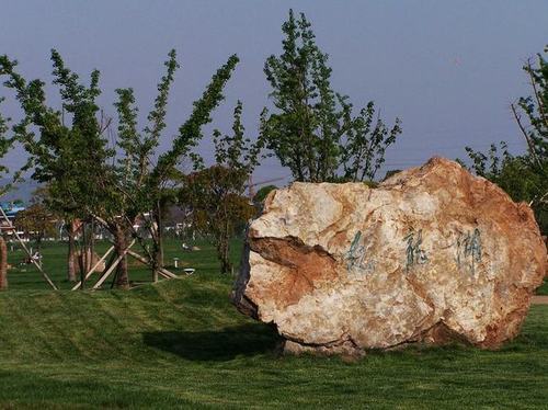 九龙湖湿地公园