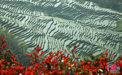红河哈尼梯田文化景观