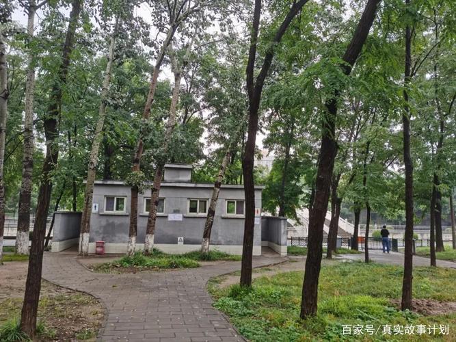 牡丹园没有牡丹北京城北公园里男人爱上男人