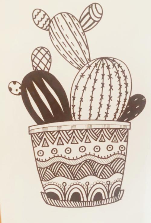 画一画家中的漂亮植物,感受来自春