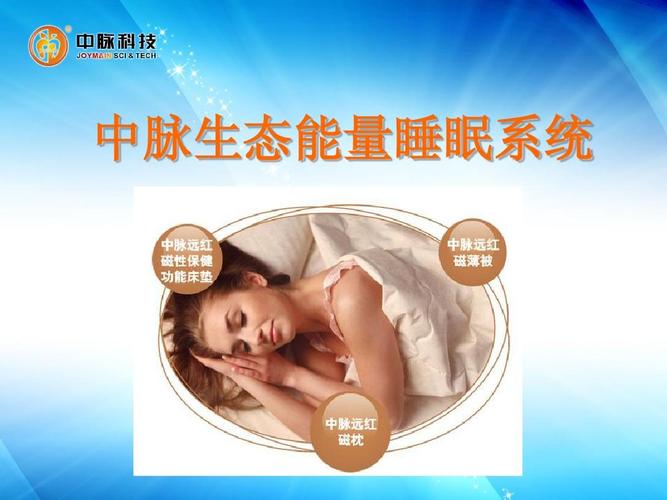医药卫生 预防医学 中脉生态能量睡眠系统ppt 解释睡眠系统对人体的