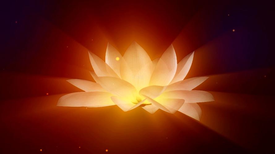 高清佛教莲花旋转绽放