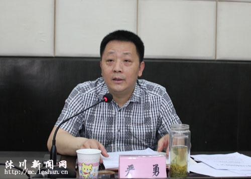 县委常委,常务副县长严勇讲话