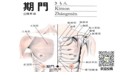 儿童科普 人体知识    期门穴主治脾胃及胸胁部疾患:如心下切痛,饮食