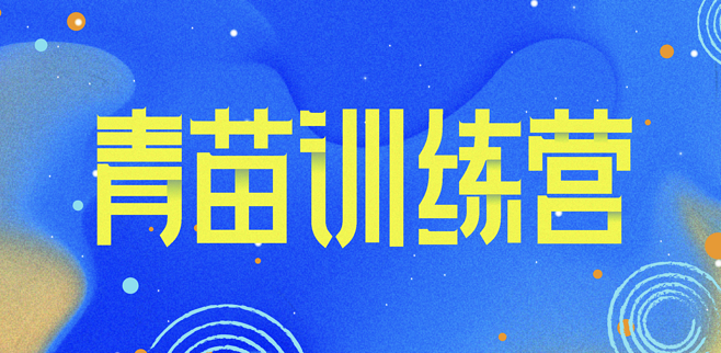 青苗训练营 字体设计