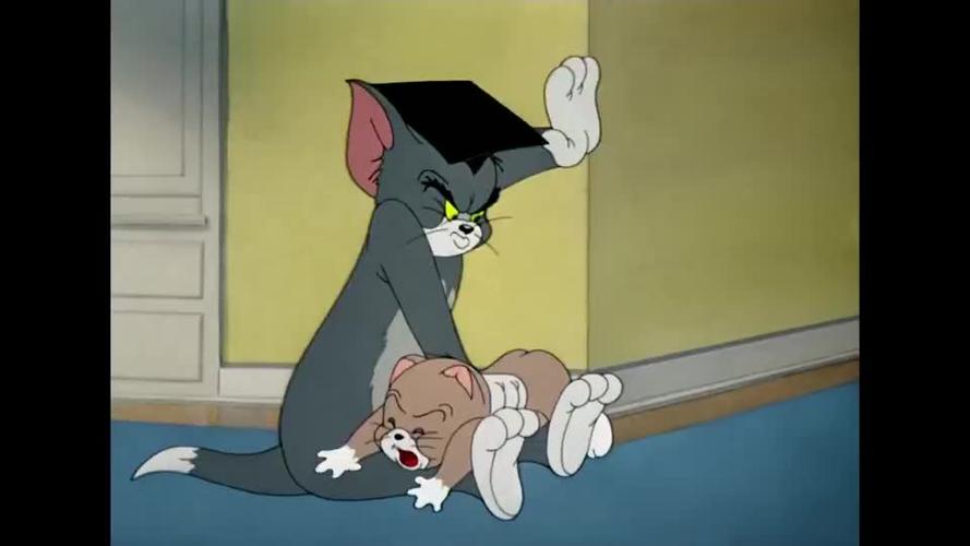 猫和老鼠小猫抓住杰瑞不但拒绝交给汤姆还把杰瑞给放跑了