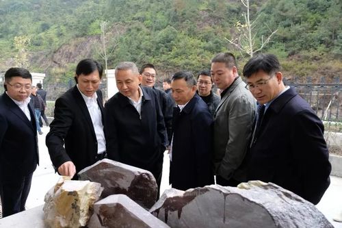 参会人员还赴青田油竹,山口镇和方山乡实地考察了美丽城镇建设工作.