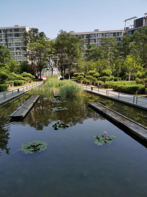 金隅国际小区里的迷你小池塘