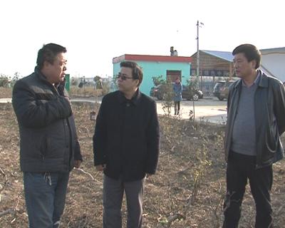 淅川县人民政府门户网