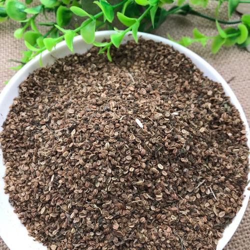 中药材 野生蛇床子 特级蛇床子茶 正品散装新货 500克