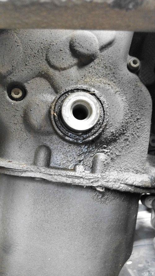 【图】曲前油封漏油!_朗逸论坛_汽车之家论坛