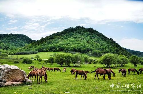 风景秀丽的张家川县