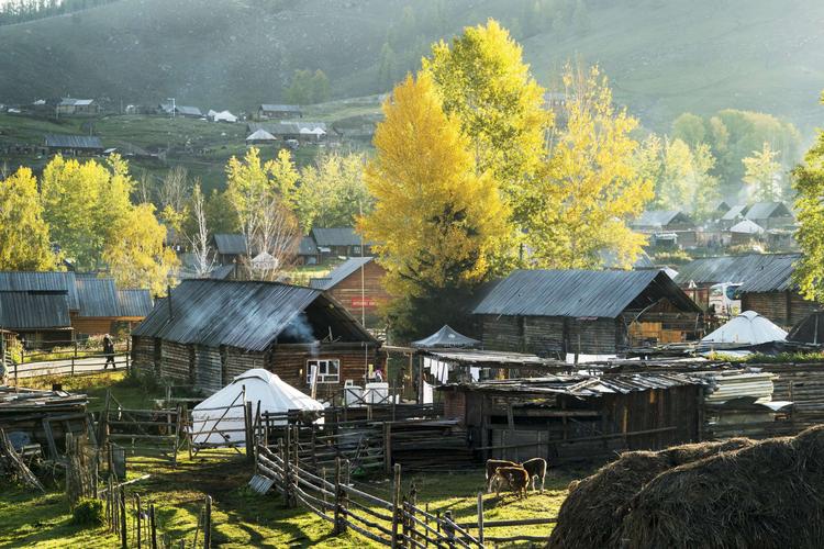 白哈巴村被称为西北第一村和西北第一哨,位于新疆阿勒泰地区.