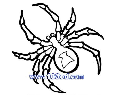 昆虫简笔画蜘蛛