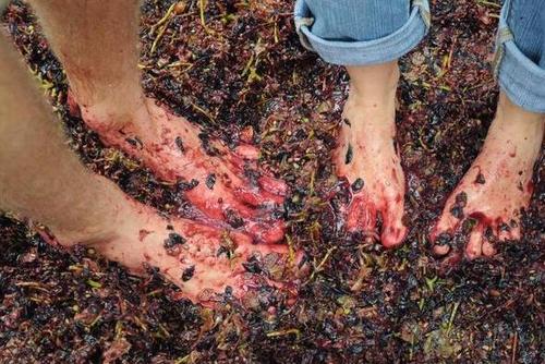 用脚踩出来的6种食物,最后一种人的脚越臭,踩出来的菜越香