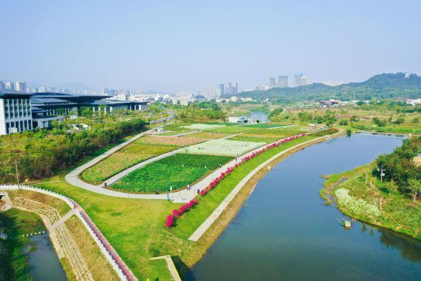 深圳新闻网首页 有着一条 孕育坪山的母亲河——坪山河 从墩子河湿地