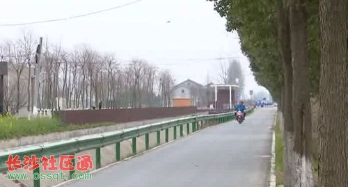 湖南澧县城头山镇推进乡村振兴示范片建设