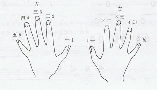 【电子琴指法】电子琴指法大全 电子琴8种基本指法练习