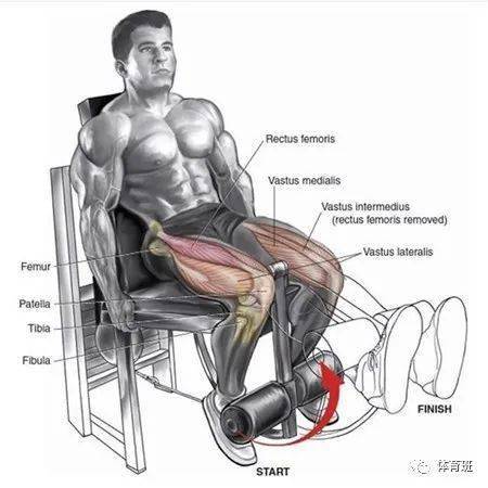 9个腿部训练经典动作图解