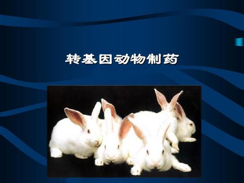 你可能喜欢 转基因生物 转基因动物技术 生物基因工程 转基因食品 转