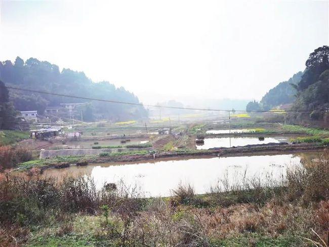 百名记者进百村|大英县蓬莱镇山溪口村:农机"耕"出致富路