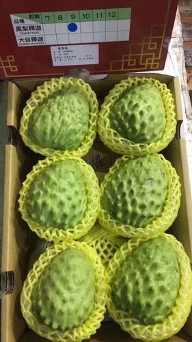 台湾/泰国释迦果 非国产 番荔枝 皮薄肉厚 特甜3-5斤