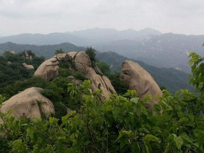河南驻马店市泌阳县五个值得一去的旅游景点,看看有你喜欢的吗?