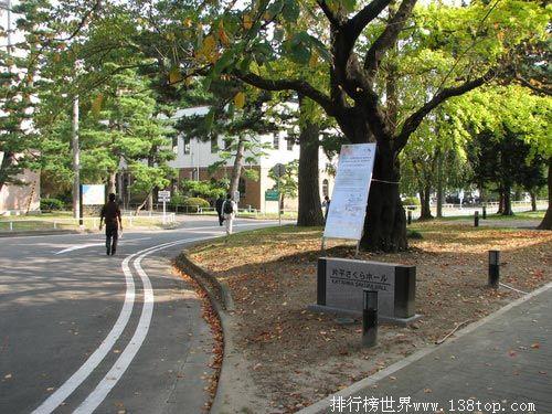 日本东北大学校园风景