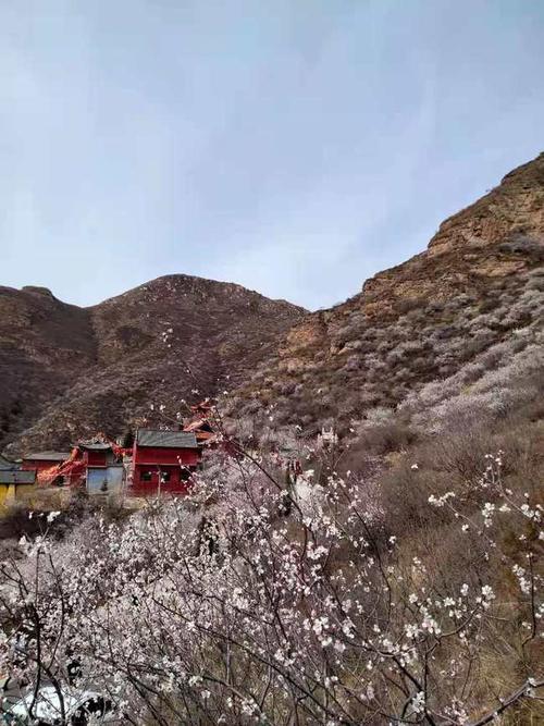 关于灵丘龙泉寺的传说