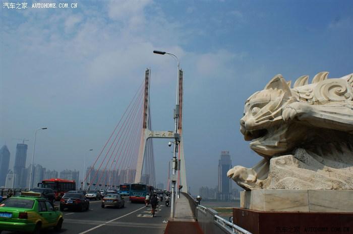 江西南昌八一桥头的白猫黑猫